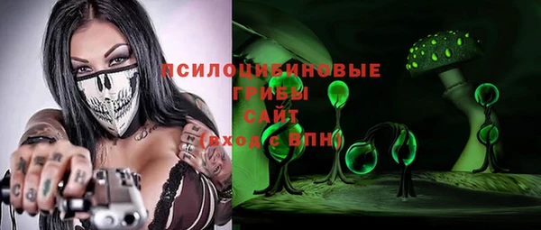 ешки Алексин