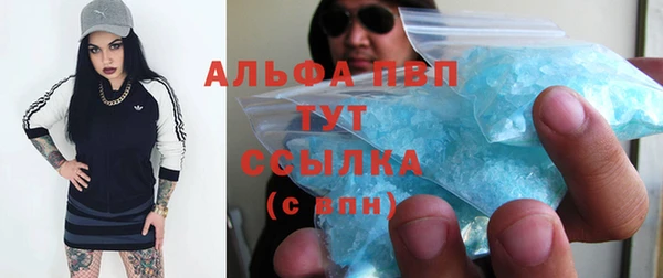 ешки Алексин